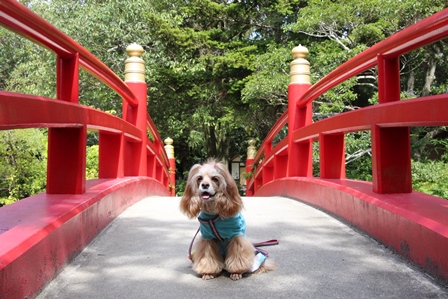 Bettyと行く関西の旅　2日目は淡路島～♪ _c0128303_11191128.jpg