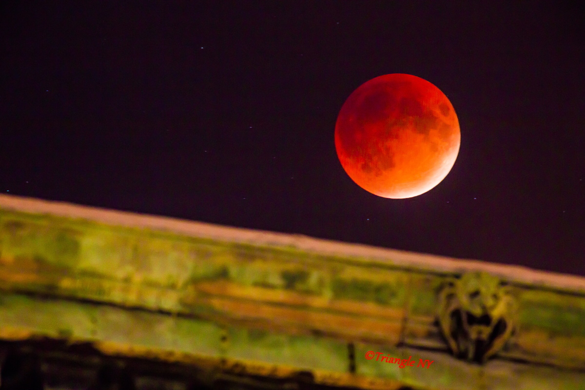 Super Blood Moon 2015_a0274805_23350839.jpg