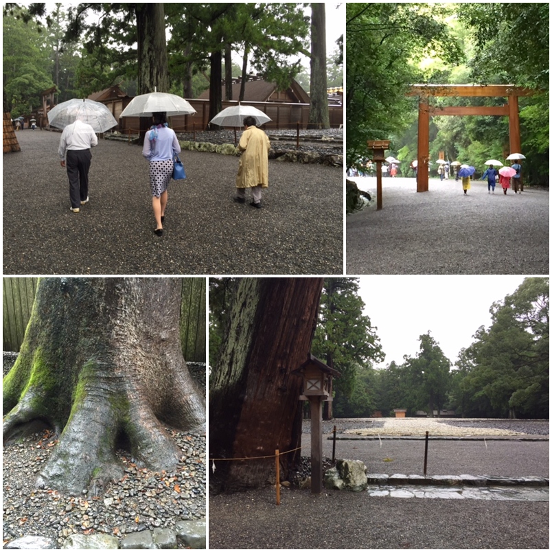 雨の中・・・伊勢の杜_a0326106_9491931.jpg