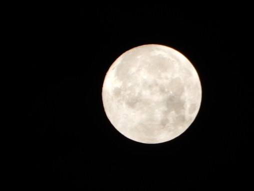 f0225108_14265198.jpg