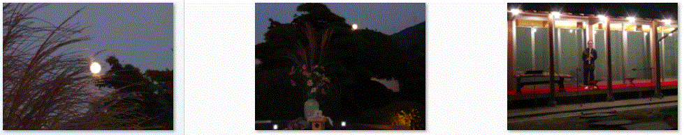 f0231709_0534527.gif
