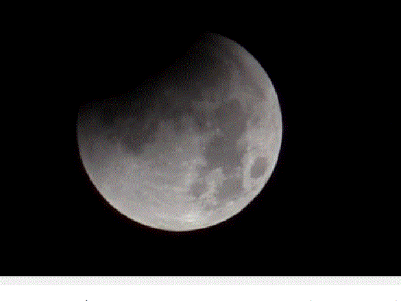 f0231709_20174087.gif