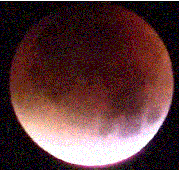 f0231709_20355664.gif
