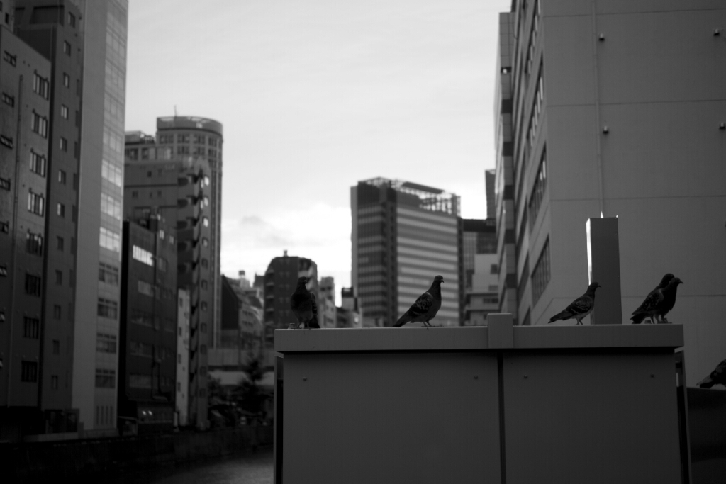 e0340011_16111915.jpg