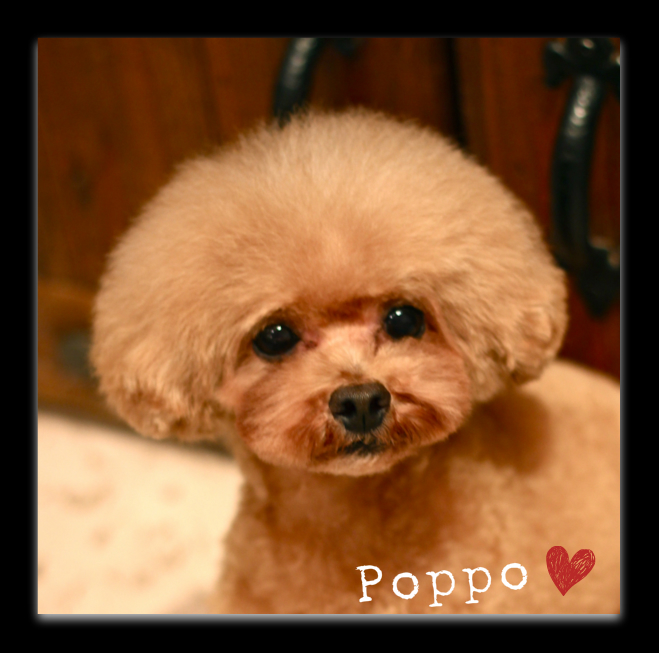 Happy Birthday♡Nonno_d0060413_2015344.jpg