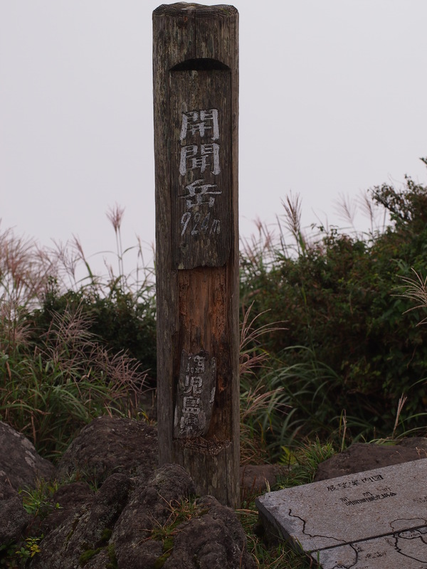 d0198313_836339.jpg