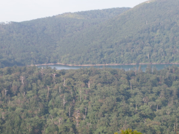 d0198313_9211062.jpg