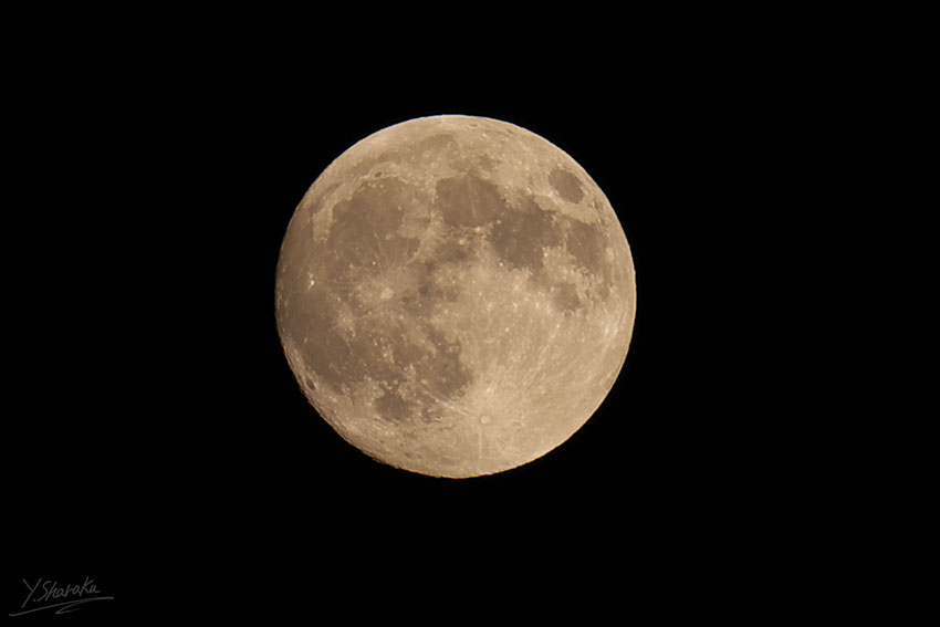 f0344614_1495012.jpg