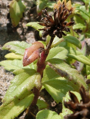 b0181818_1014656.jpg