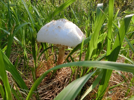 b0181818_101558100.jpg