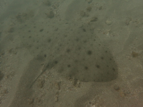 c0115421_21154608.jpg