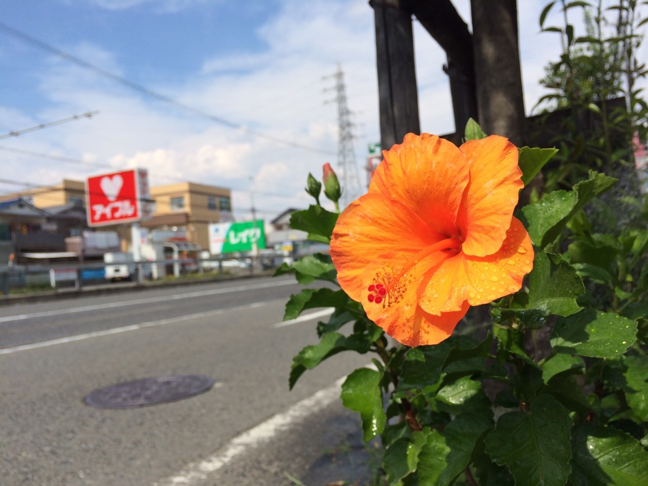 c0115421_21333740.jpg