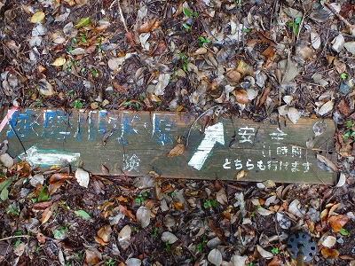 f0193521_13113186.jpg