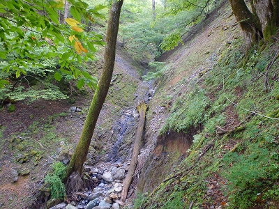 f0193521_13134411.jpg