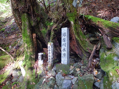 f0193521_13165239.jpg
