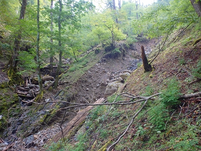 f0193521_1321416.jpg