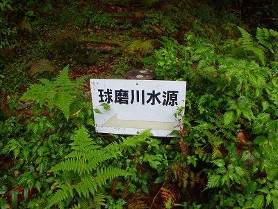f0193521_1355016.jpg
