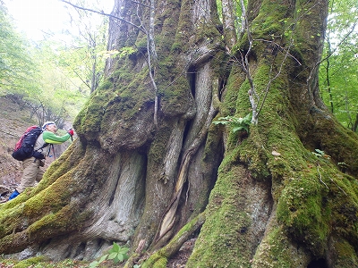 f0193521_17585177.jpg