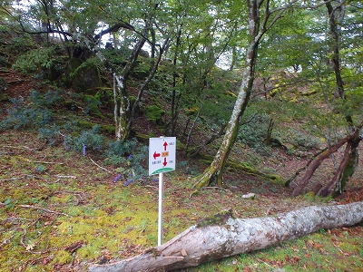 水上越～アンドウ谷～七遍巡～登山口_f0193521_1829625.jpg