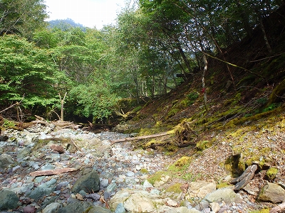 水上越～アンドウ谷～七遍巡～登山口_f0193521_18371777.jpg