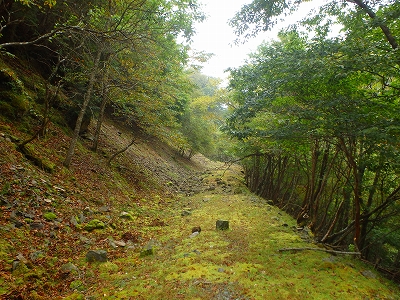 水上越～アンドウ谷～七遍巡～登山口_f0193521_18375924.jpg