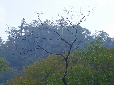 f0193521_184359.jpg