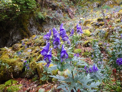 f0193521_188719.jpg