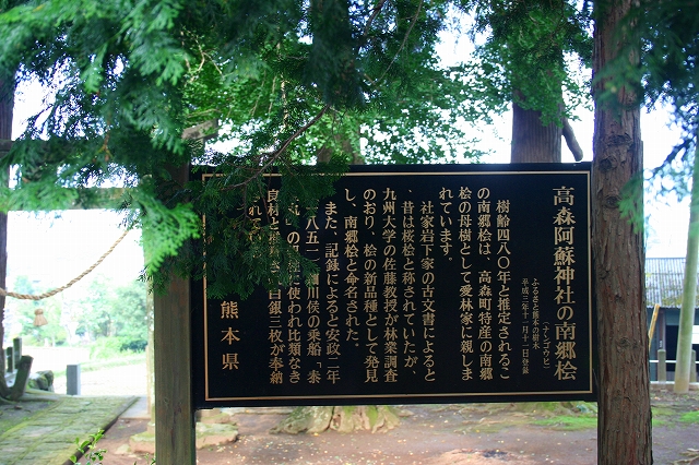 f0193521_7295028.jpg