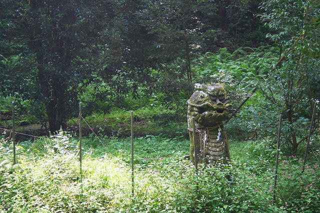 f0193521_855522.jpg