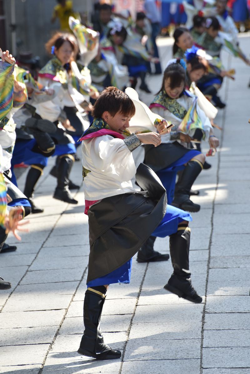 第十一回深川カーニバルよさこい祭り　富岡八幡宮境内_c0276323_13232985.jpg