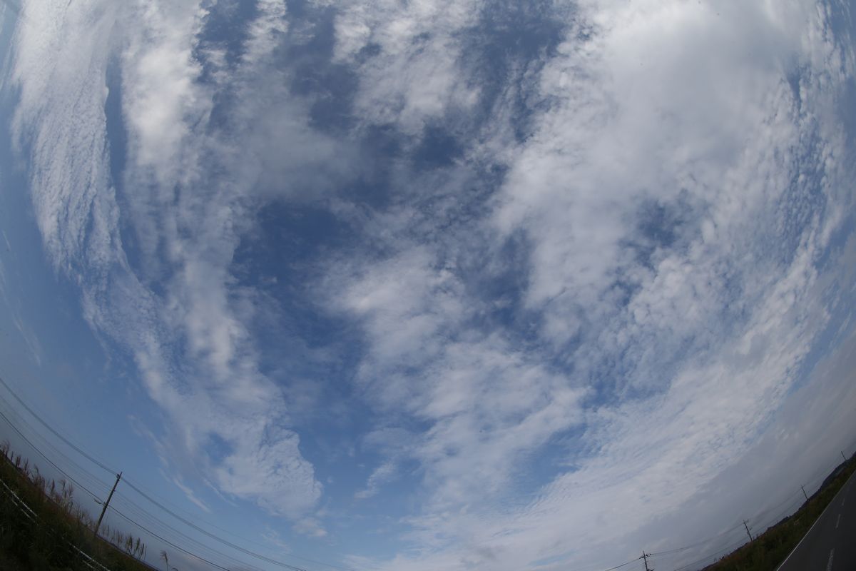 秋の空 魚眼 ブログ鳥達との出会い 秋の空 魚眼 ブログ鳥達との出会い