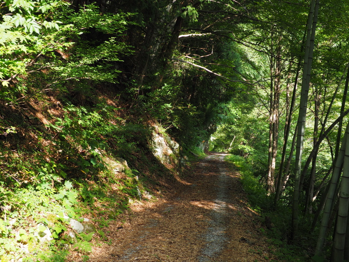 b0244424_2285873.jpg