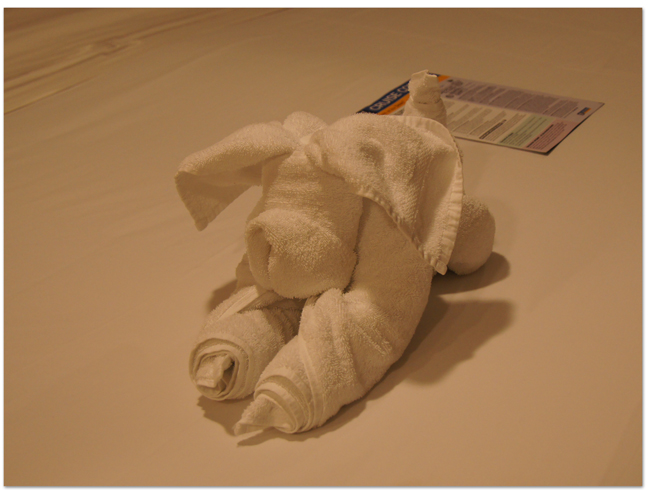 西地中海クルーズ(4) マヨルカ島へ_d0210324_4122540.jpg