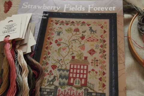 Strawberry Fields Forever_c0234226_16192180.jpg