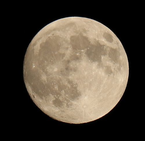 e0108126_21580388.jpg
