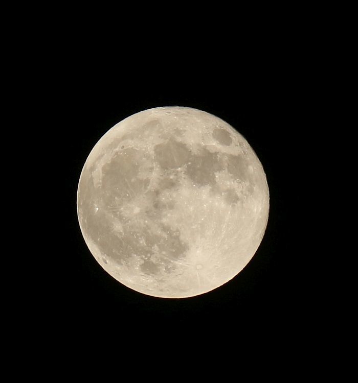 e0108126_22032057.jpg