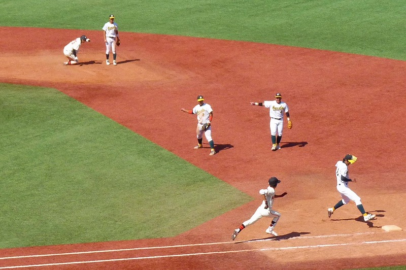 専修大対日本大 9月22日 東都大学野球1部 後半_b0166128_10385498.jpg