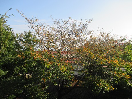 e0069234_74305.jpg