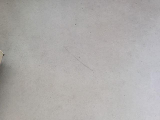 賃貸定期管理清掃・プチリフォームの下見_f0031037_2161613.jpg