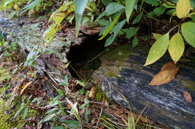 b0233441_204631.jpg