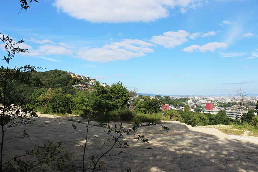 第４回日本麻フェスティバルin兵庫♪越木岩神社-2♪_d0058941_21225481.jpg