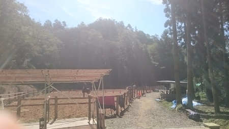 e0145441_11330468.jpg