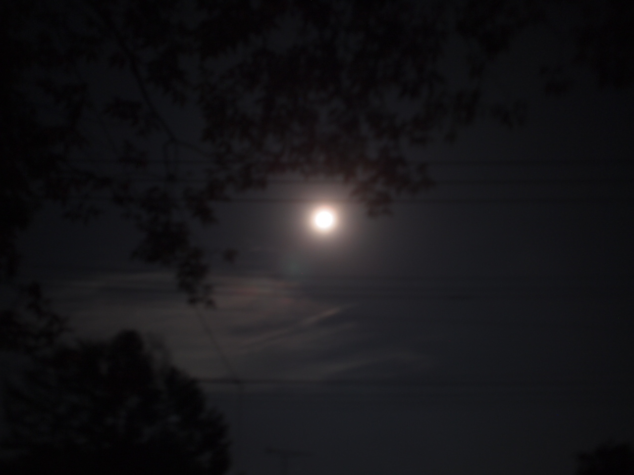 a0299945_21234316.jpg
