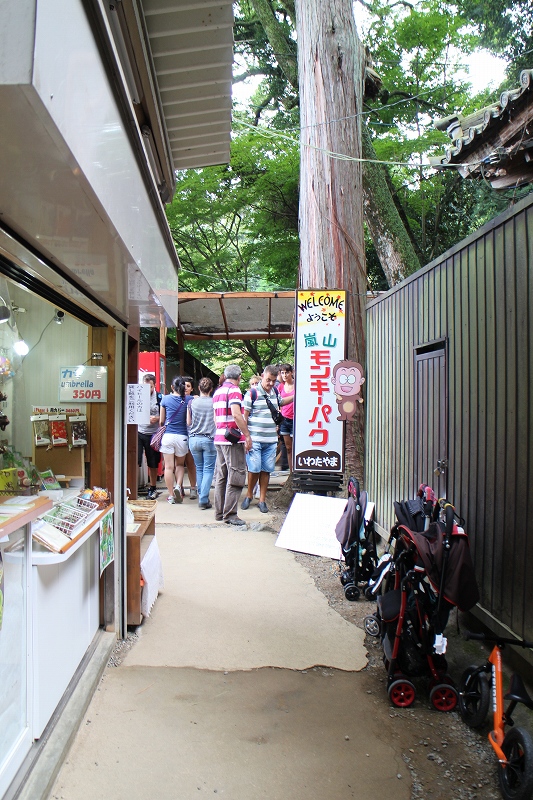 京都『嵐山モンキーパーク』は山の上20150921_e0237645_1184531.jpg