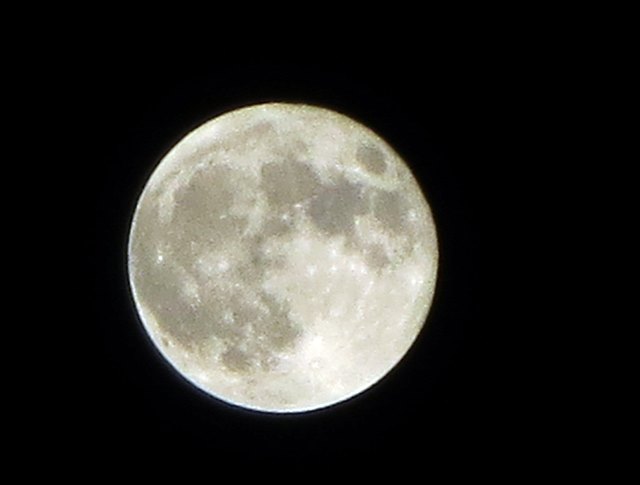 b0009849_20125828.jpg