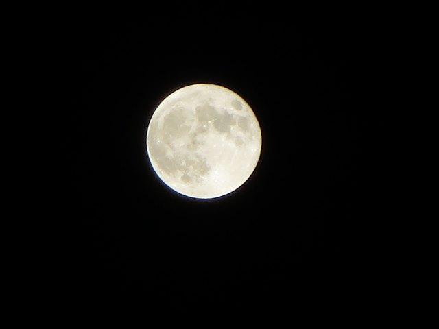 b0009849_20132645.jpg