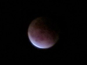 b0090654_23381487.jpg