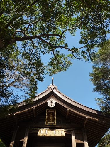 志賀島歴史講座の御案内_c0222861_134134100.jpg