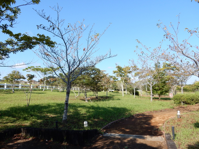 ’15,9,28(月)今日は暑かった~!_f0060461_16394010.jpg