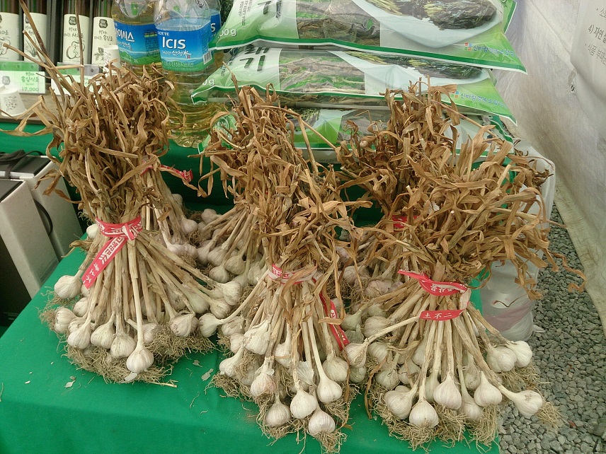 春川(チュンチョン)グルメと農産物産展_b0060363_2317673.jpg